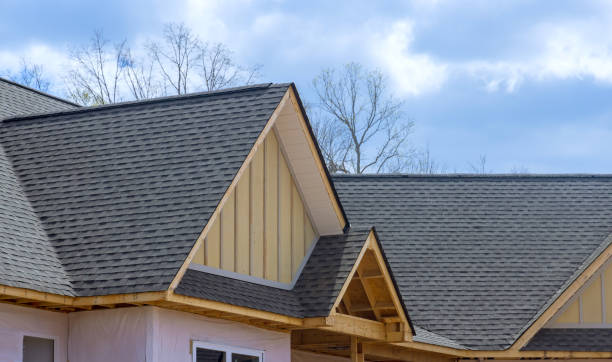 Best Skylight Installation and Repair  in Blythe, CA